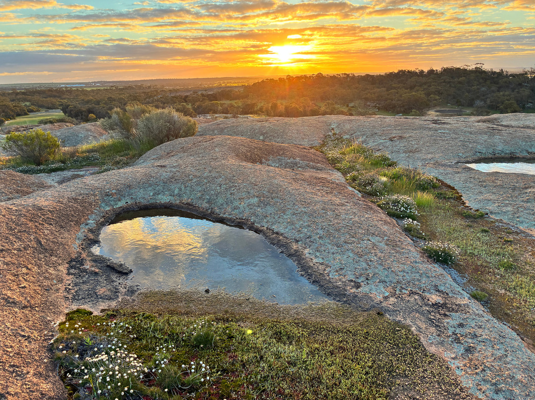 Wave Rock-海顿必去景点