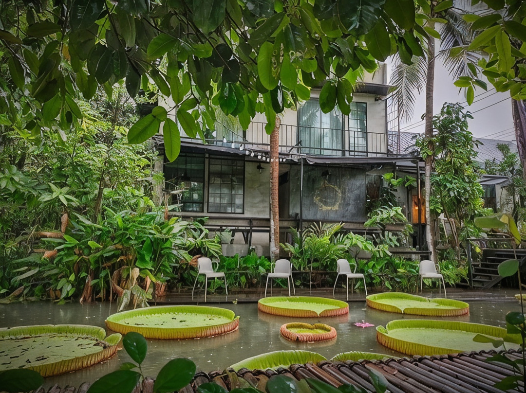 加吉布住宿加早餐旅馆早餐