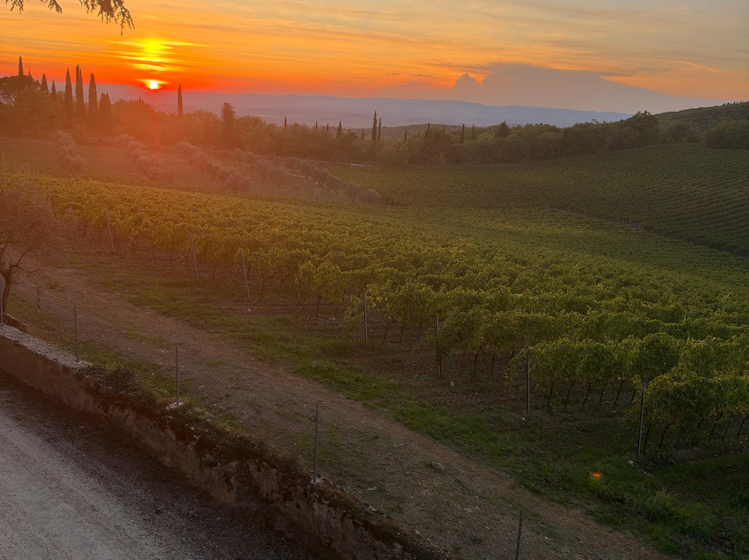 Bindi Sergardi Estates & Vineyards-Vagliagli必去景点