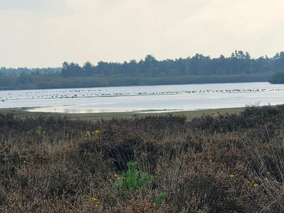 Strabrechtse Heide-Heeze必去景点