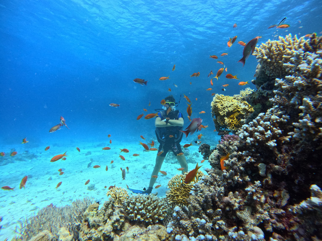 House Reef-Neuendorf必去景点