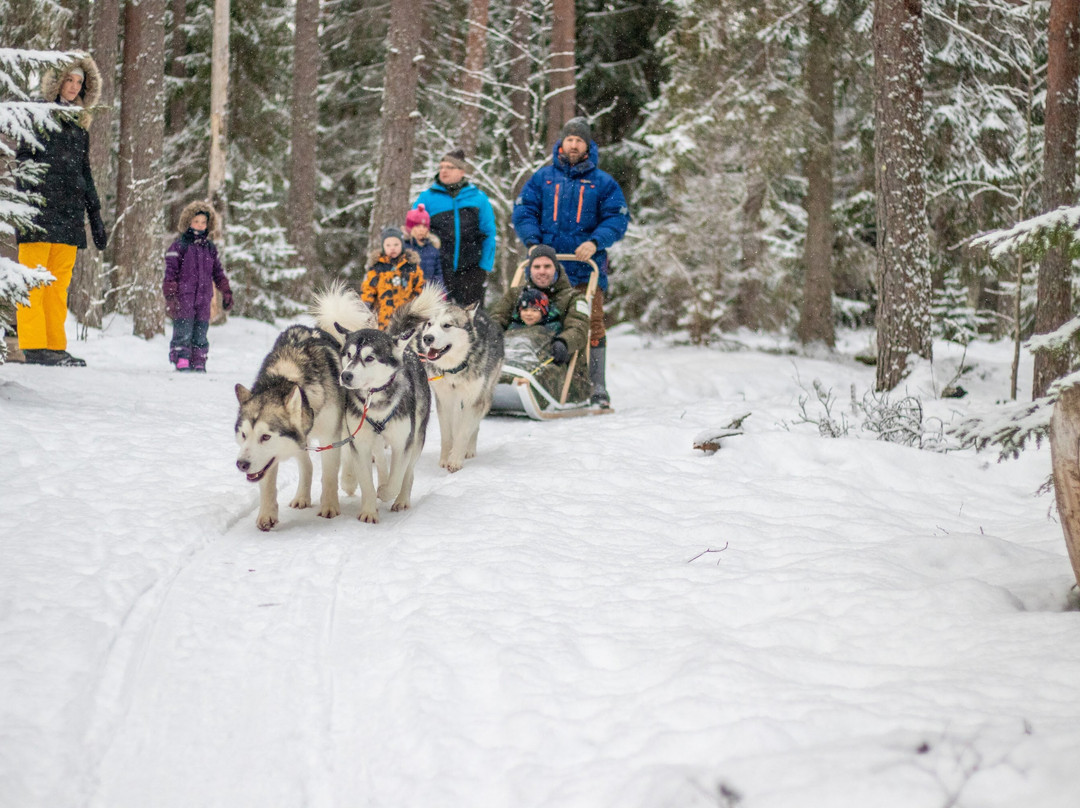 Small Lapland-Pillapalu必去景点