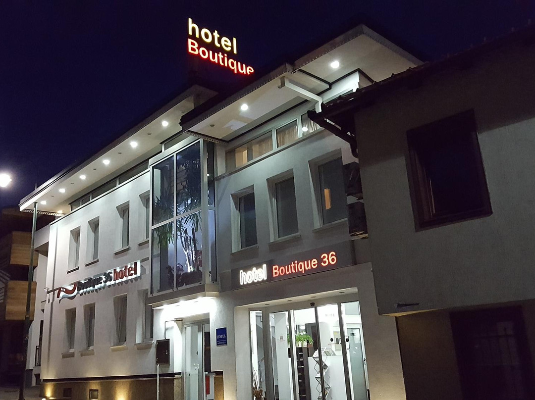 Hotel Boutique 36