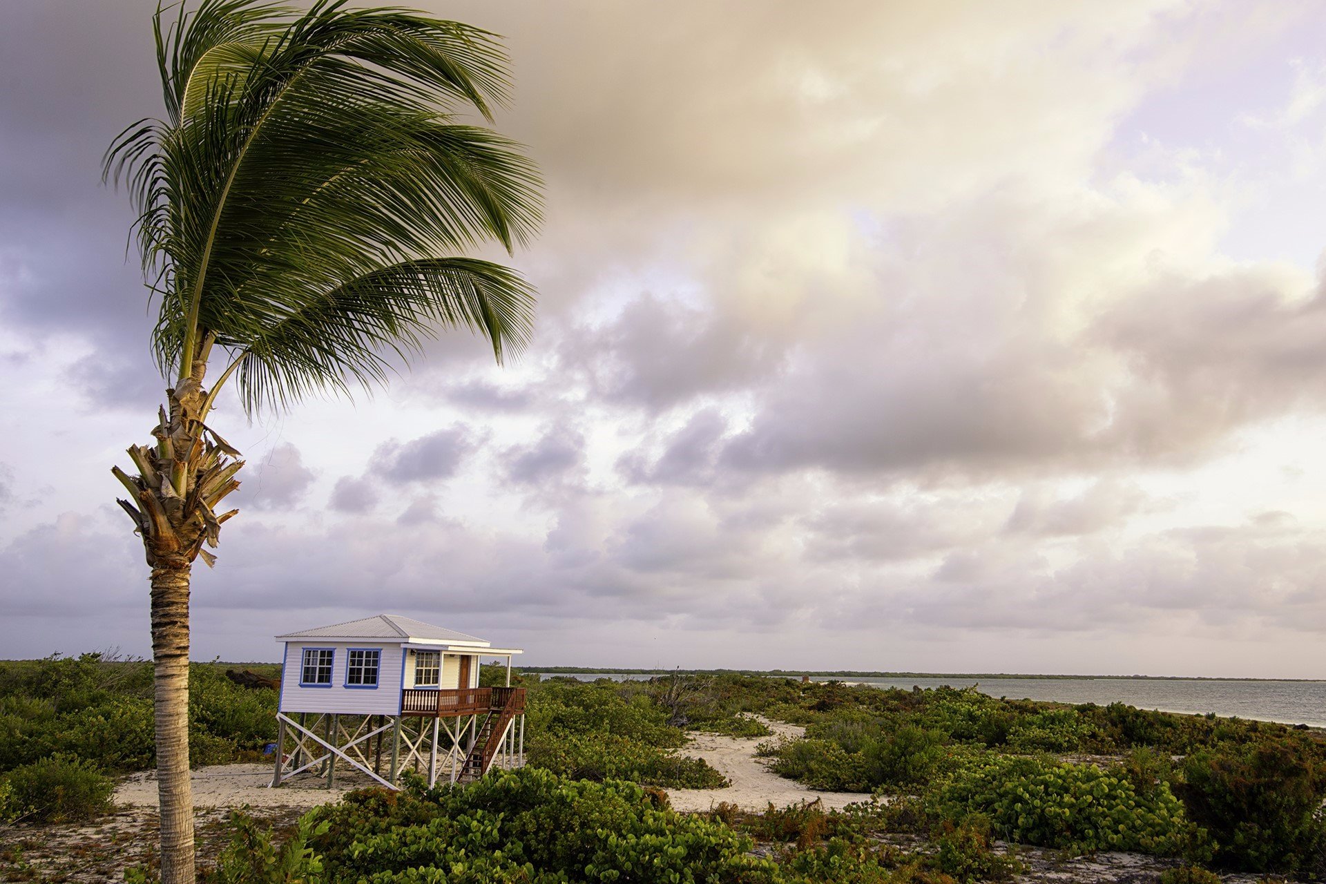 North Beach Island-官方