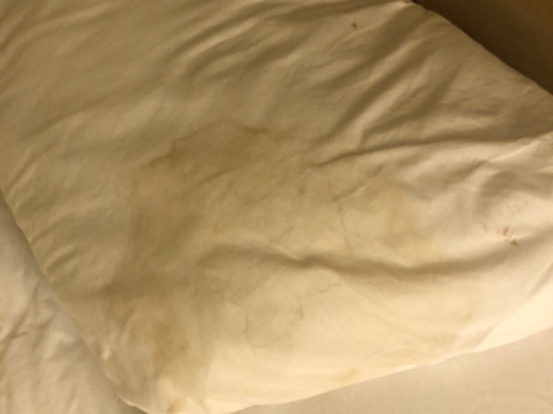 Holiday Lodge & Suites