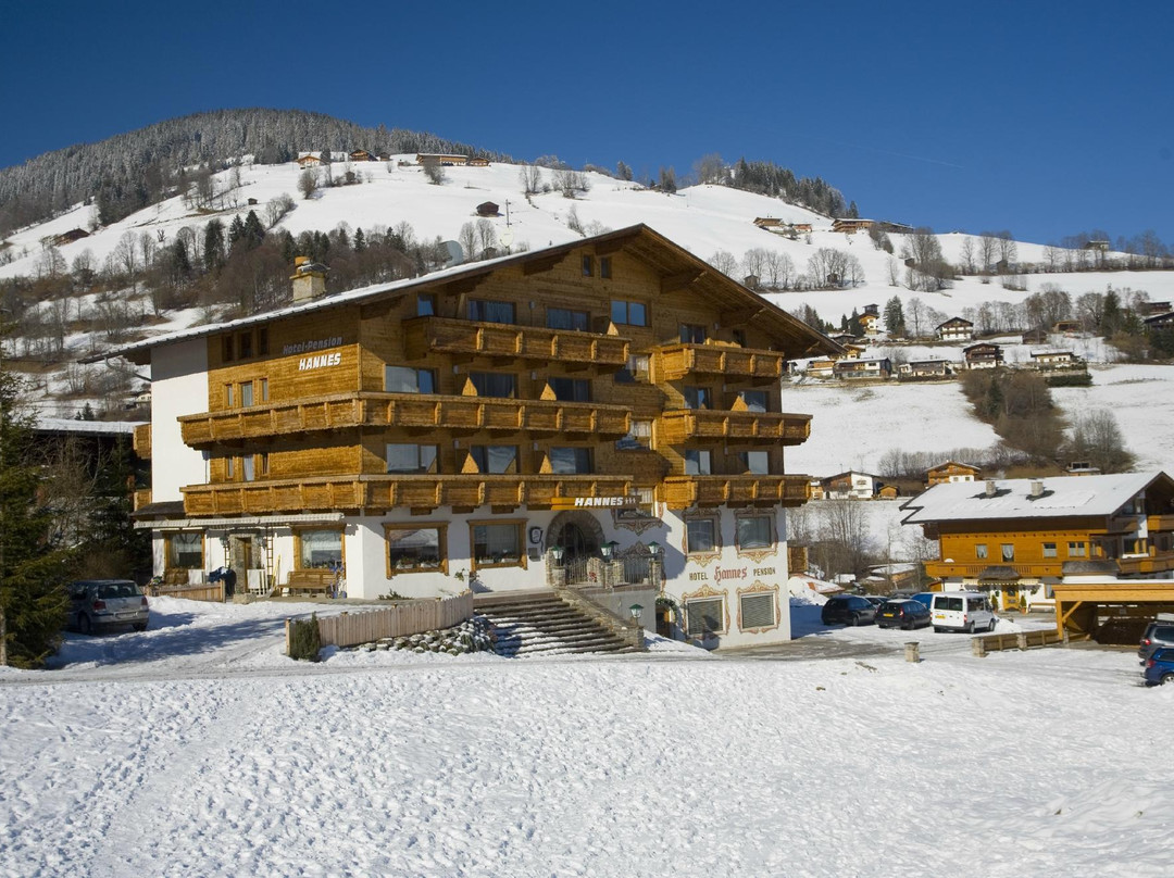 韦德修瑙酒店住宿-Hotel Hannes