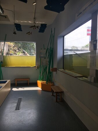 Lahnfenster Hessen-吉森必去景点