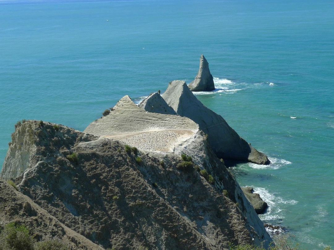 Cape Kidnappers景点图片