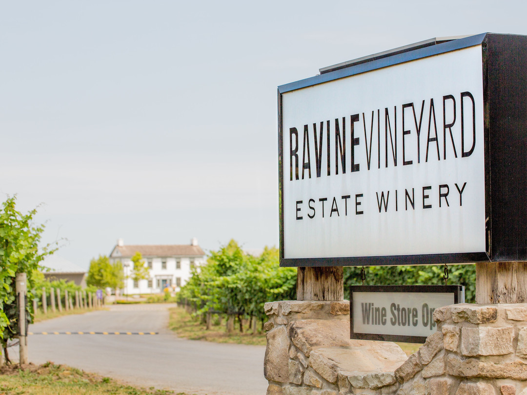 Ravine Vineyard Estate Winery景点图片