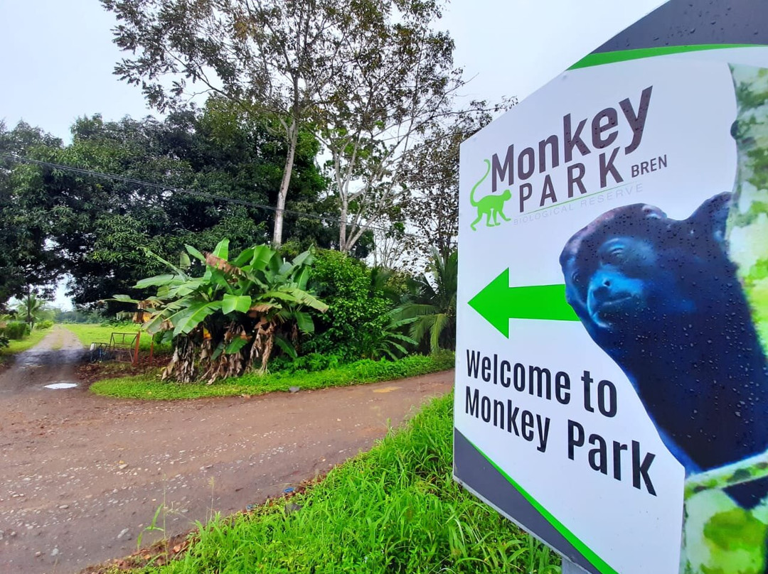 Monkey Park La Fortuna景点图片