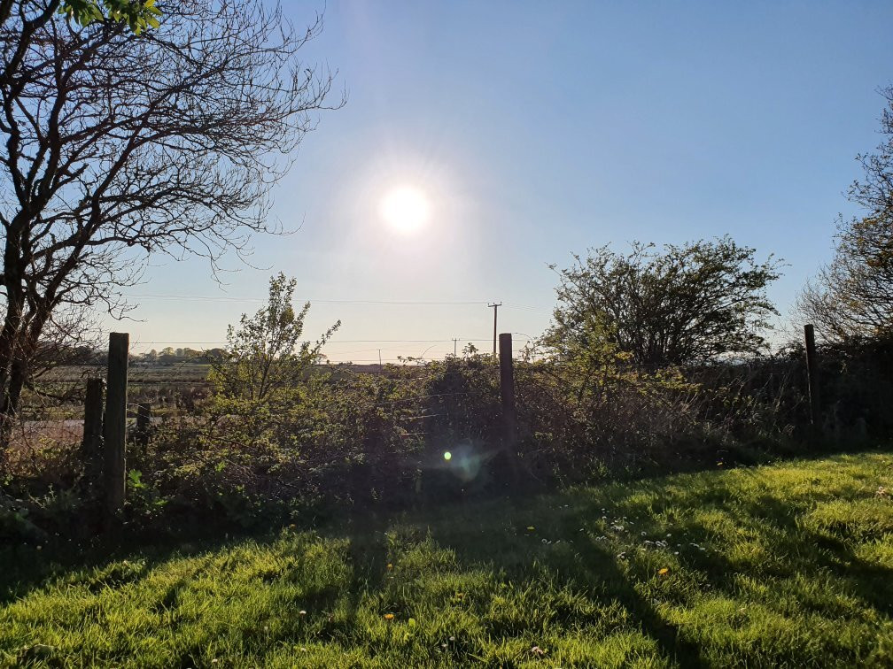 Gowerton Caravan and Motorhome Club Campsite