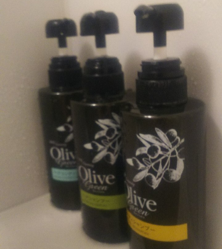 相铁Fresa Inn酒店 东京东阳町站前主图