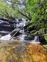 Somersby Waterfalls and Picnic Area景点图片