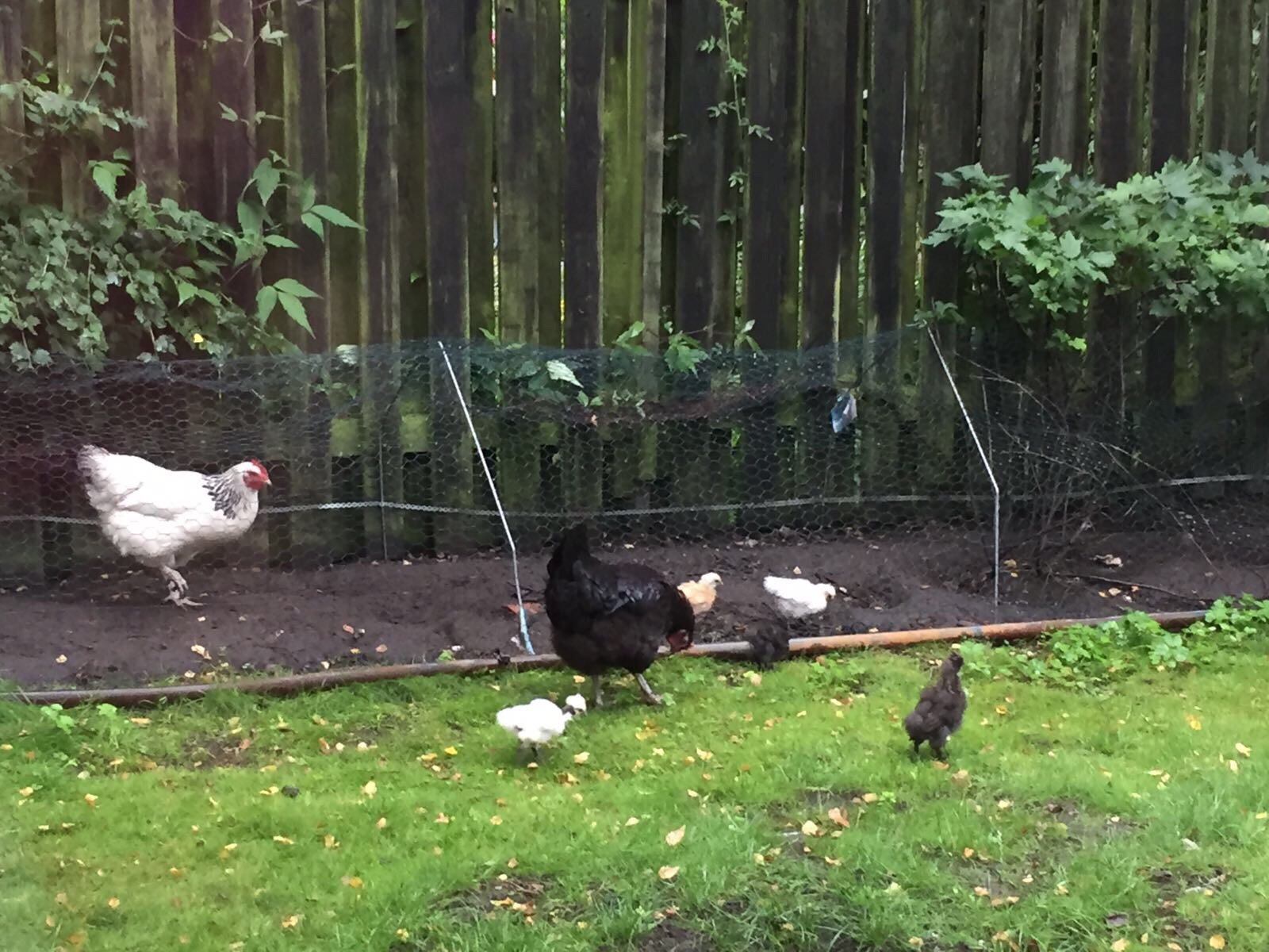 Art Holm Family Villa Homeaway-官方