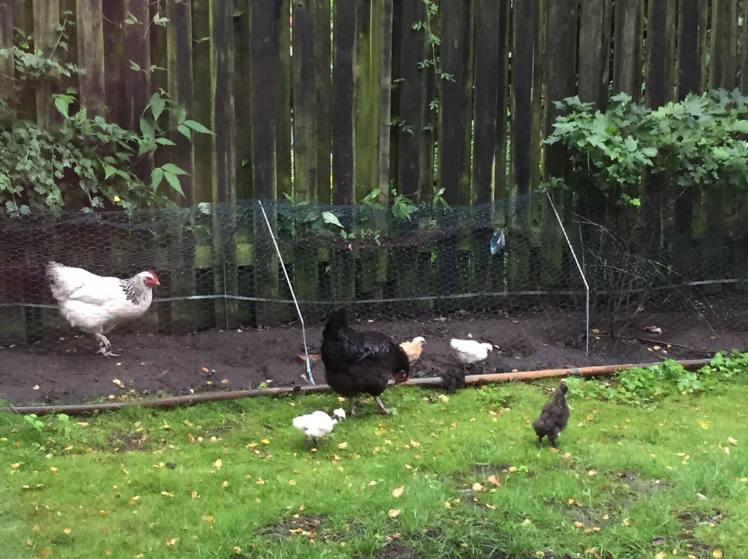 Tygelsjo酒店住宿-Art Holm Family Villa Homeaway