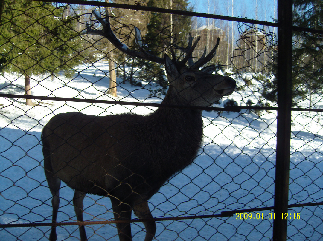 Cage Farm оf the Carpathian National Nature Park-Yaremche必去景点
