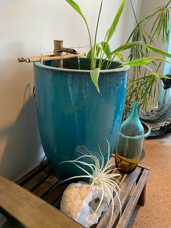 Bliss Organic Day Spa-Sebastopol必去景点