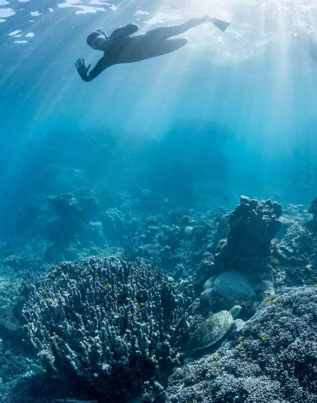 Why Not Bus-珀斯必去景点