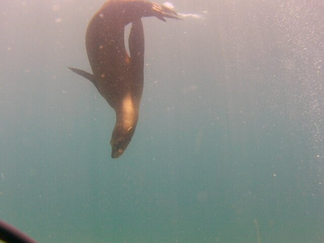 The Dive Gurus-拉巴斯必去景点