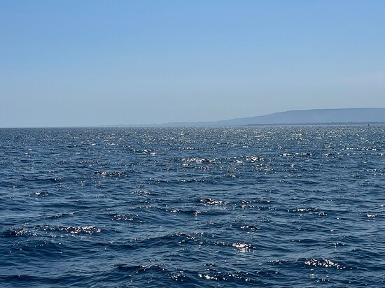 Harmony Tours-锡拉库扎必去景点