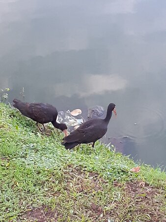 Lagoa Do Violao-Torres必去景点