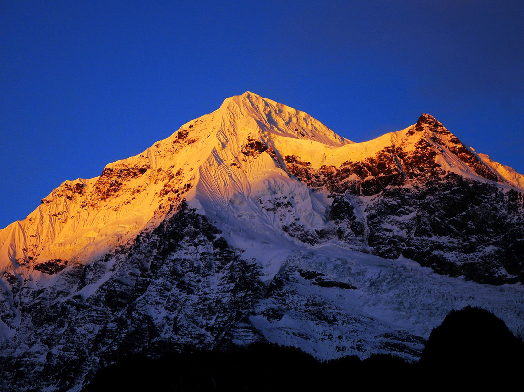 The Moose Is Inn主图