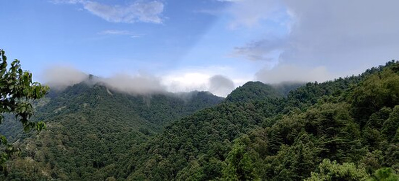 Zostel Plus Nainital (Naina Range)主图