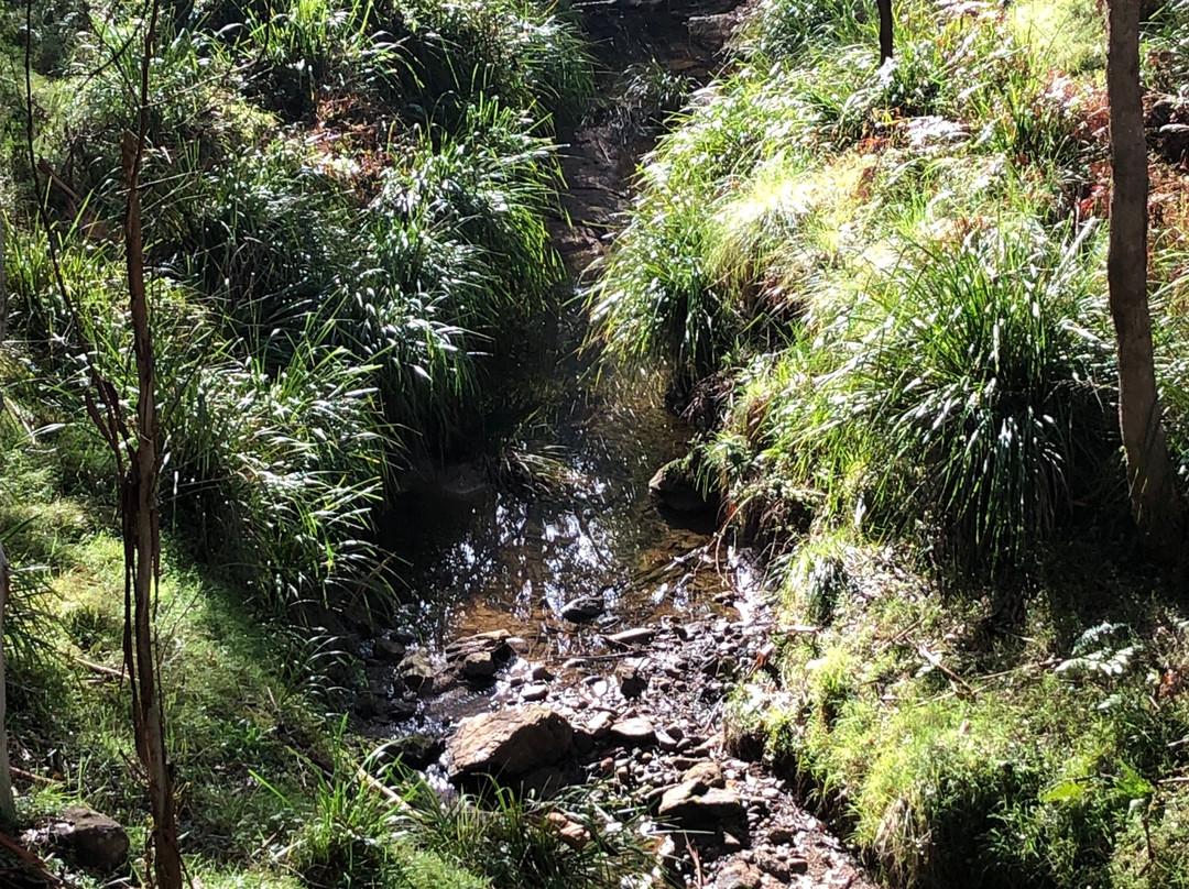 Sun Valley Fire Trail-Valley Heights必去景点