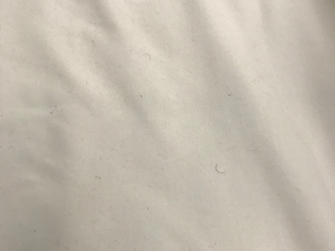 Holiday Inn Express & Suites Greenville - Taylors by IHG主图