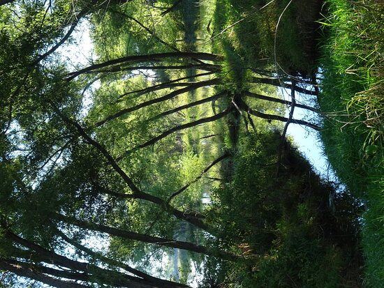 Willow Creek Recreation Area-Pierce必去景点