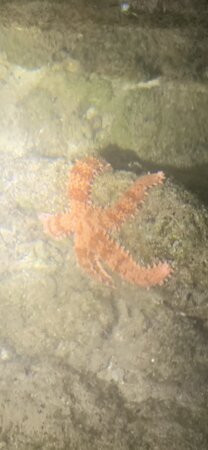 Shark's Cove-哈雷瓦必去景点