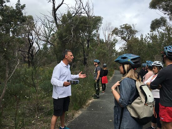 GoGo Active Tours & Events-珀斯必去景点