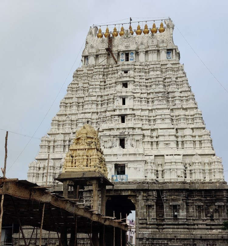 Varadharaja Perumal Temple景点图片