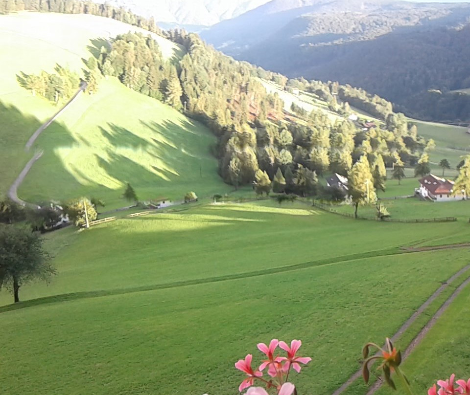 San Genesio Atesino酒店住宿-Leitnerhof