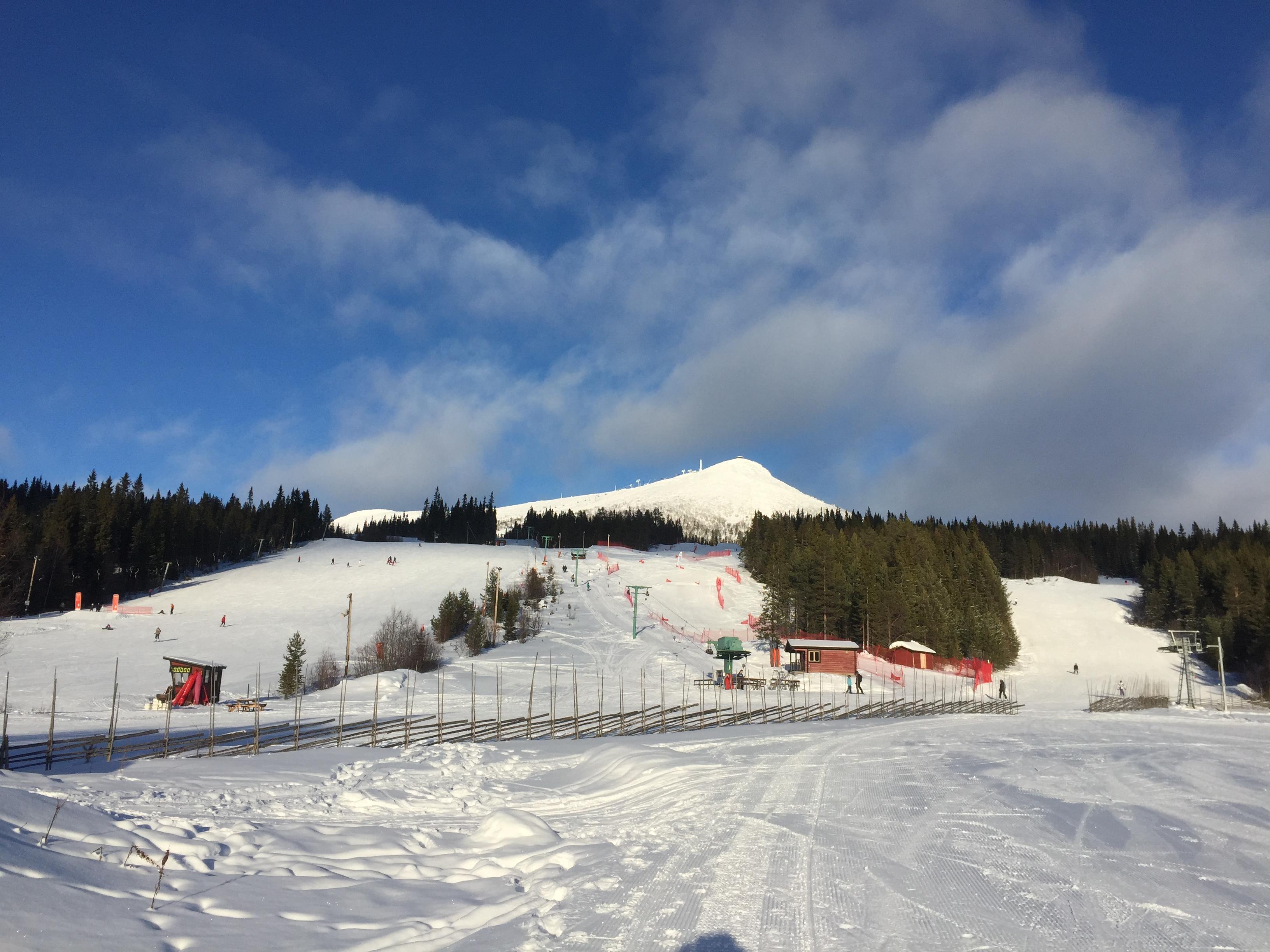 Lofsdalens Fjällhotell-官方