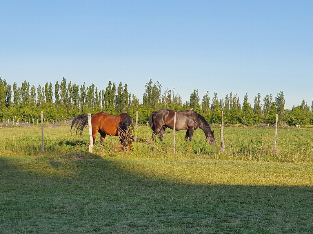 Casas de Campo La Josefina