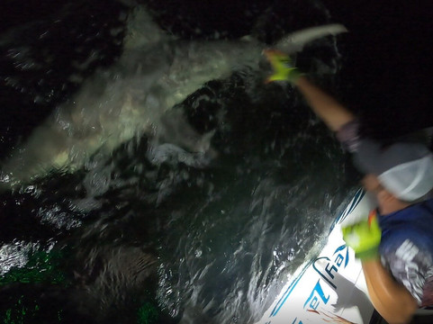 WETJET FISHING TOURS-迈尔斯堡海滩必去景点