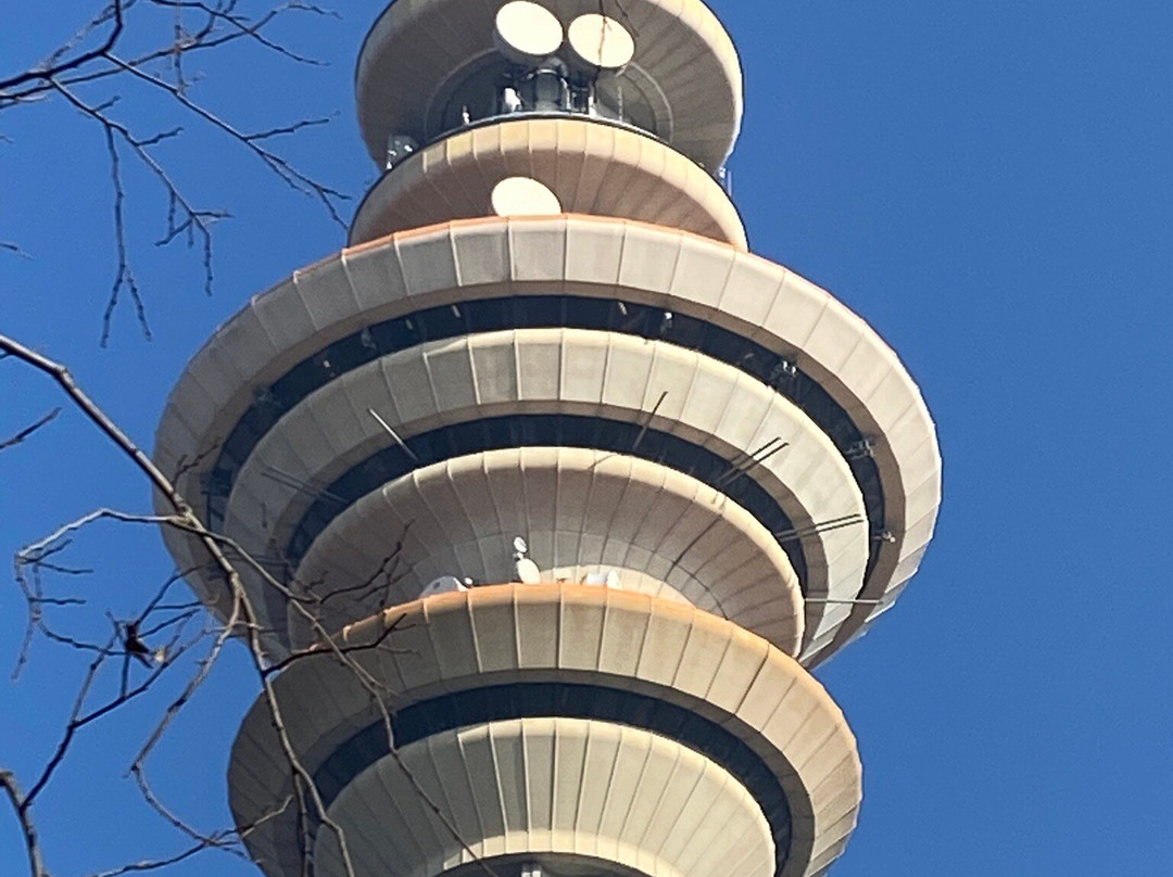 Torre Telecom Italia景点图片