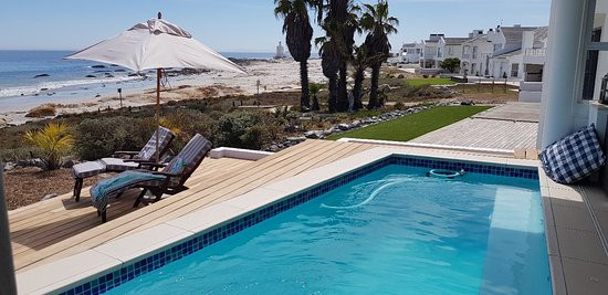 Mussel Cracker主图