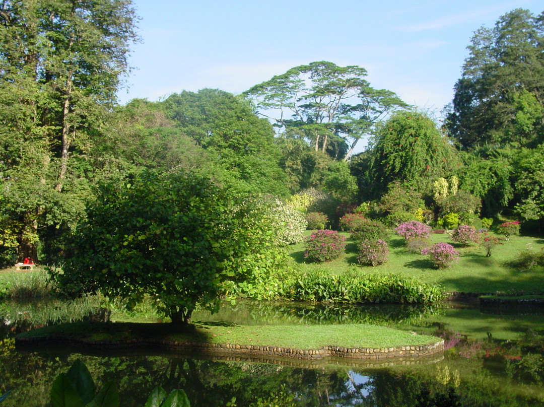 Henerathgoda Botanical Garden景点图片