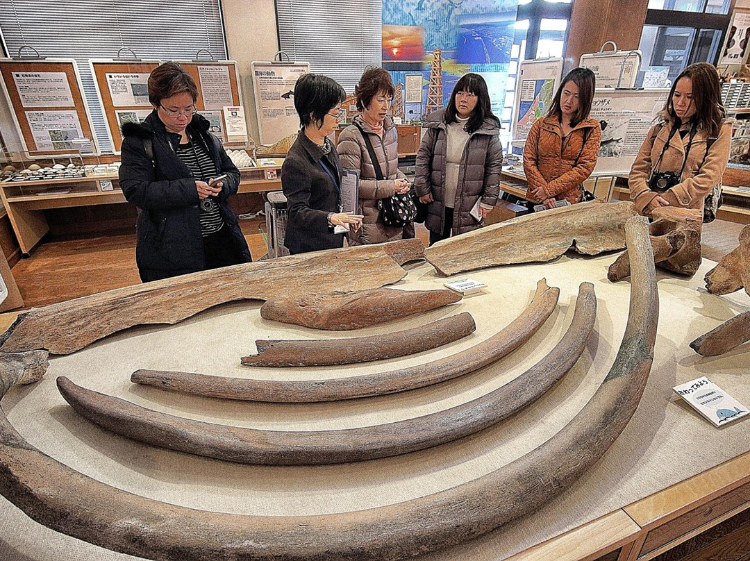 Ishikari Sakyu no Kaze Museum
