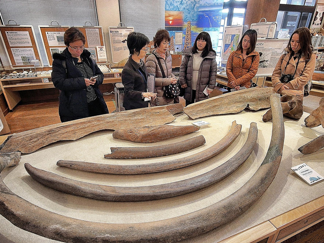 Ishikari Sakyu no Kaze Museum景点图片