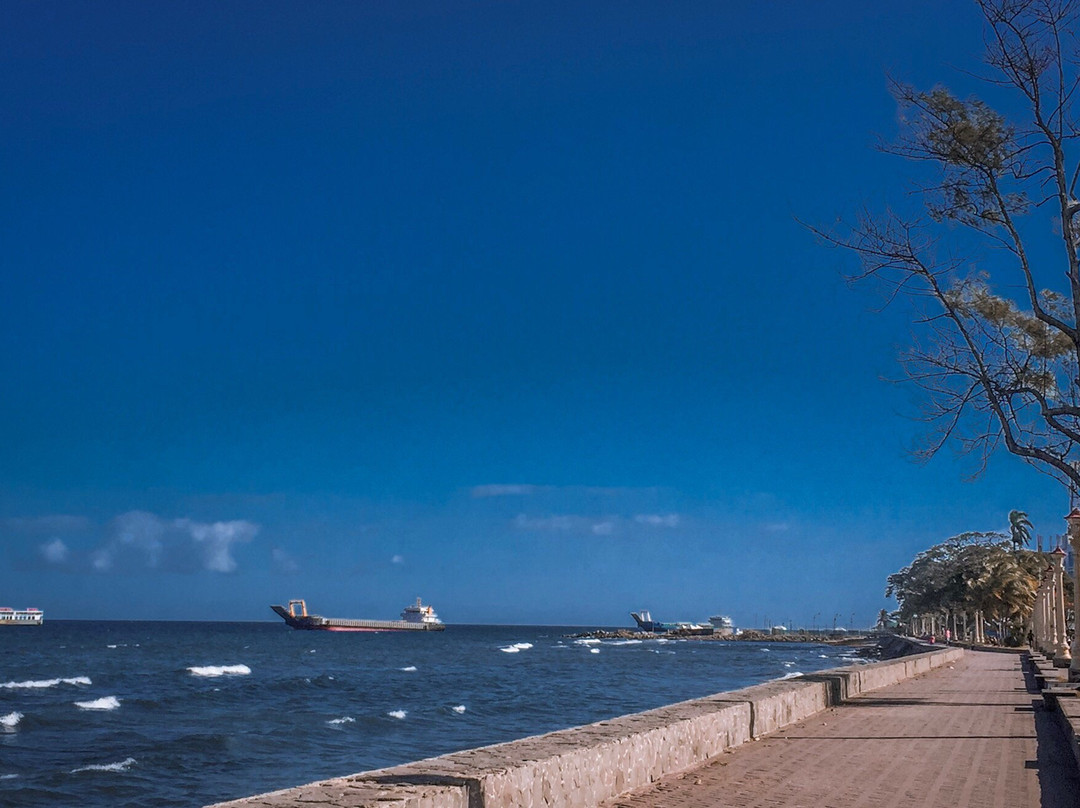 杜马盖地海滨大道景点图片