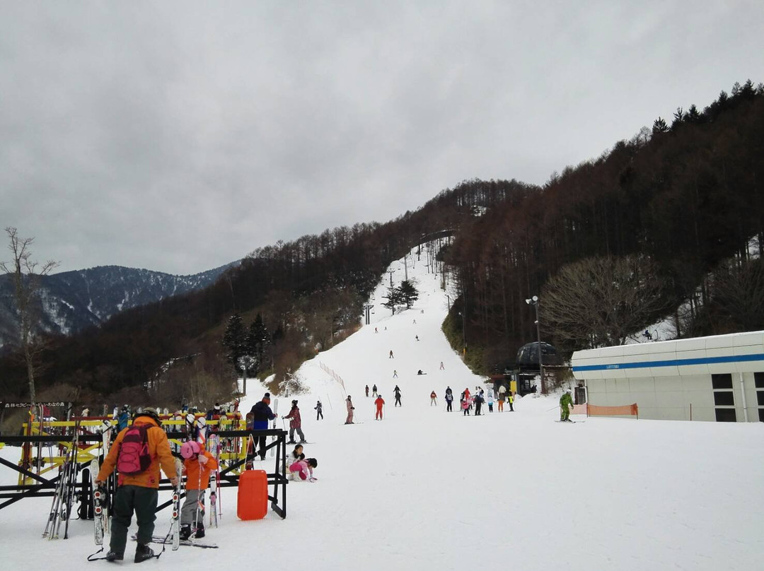 Heavens Sonohara Snow Wolrd景点图片