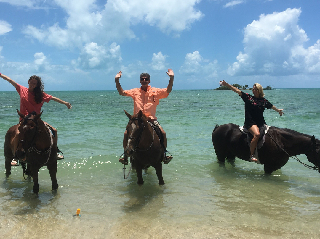 Happy Trails Stables-Coral Harbour必去景点
