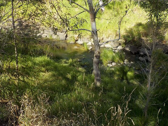 Moonee Ponds Creek Trail景点图片