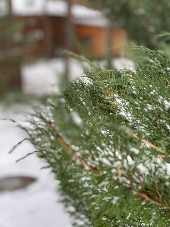 Eco Hotel VeLes-浴室