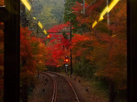 睿山电车红叶隧道-京都市必去景点