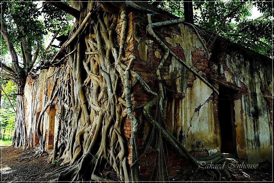 Sang Kra Tai Temple-红统必去景点