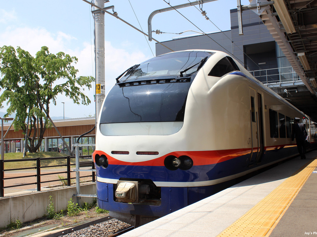 Echigo Tokimeki Railway景点图片